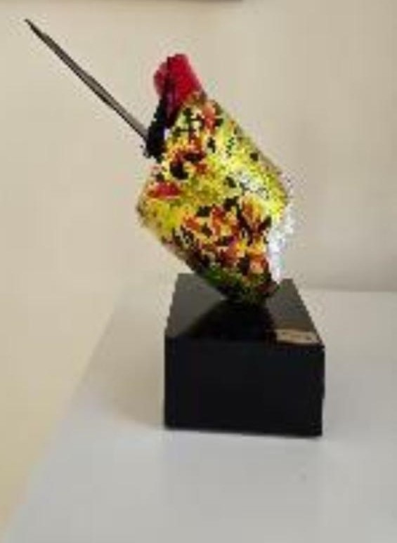 WhatsApp Image 2026-01-30 at 13.21.02